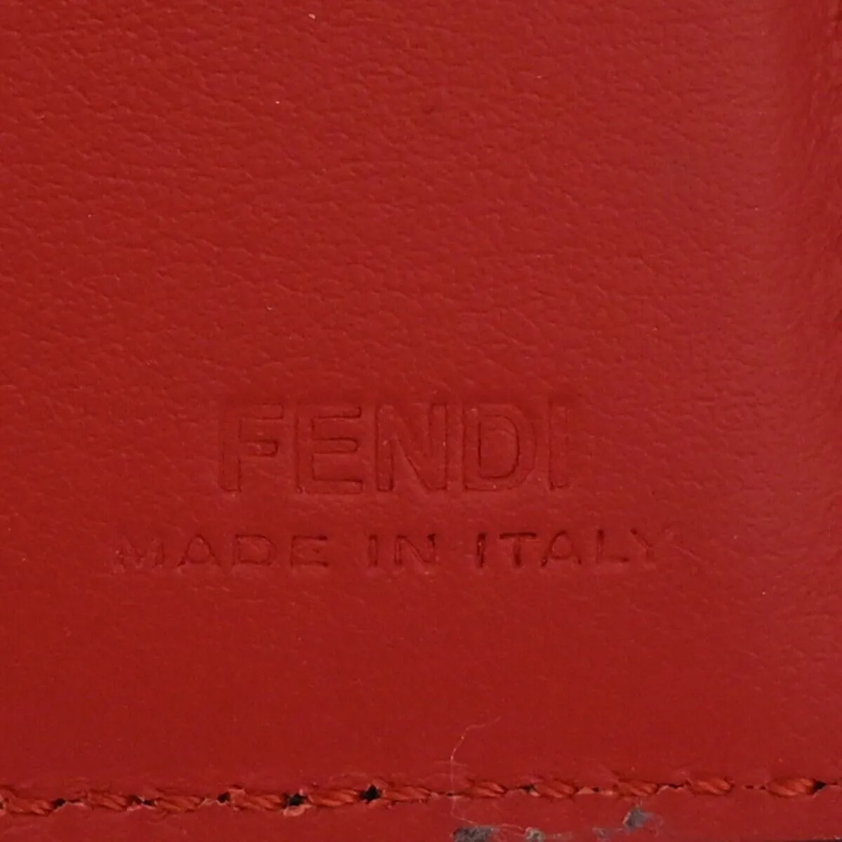 Fendi Bag bugs